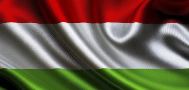В страну едет с визитом министр иностранных дел Венгрии
