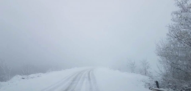 Подготовки властей к снегопаду на дорогах оказалось недостаточно