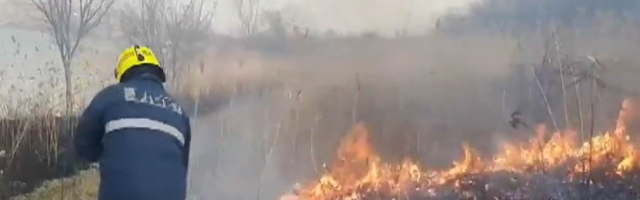 Молдове огонь уничтожил 120 гектаров растительности