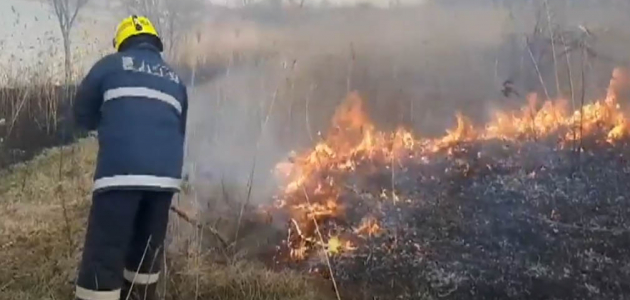 Молдове огонь уничтожил 120 гектаров растительности