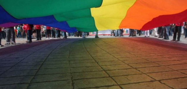 Социалисты выступают за запрет однополых браков в Молдове
