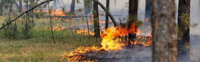 Из-за жаркой погоды в Молдове сохраняется риск природных пожаров