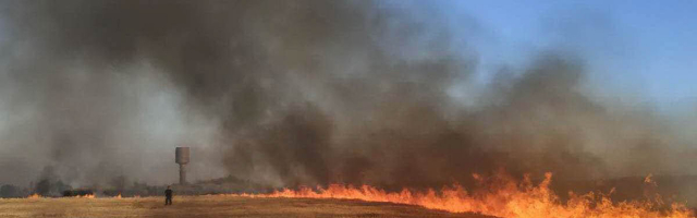 Вчера в Тирасполе произошло возгорание сухой травы и пшеничного поля