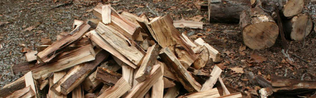 В Молдове разрабатывают план по обеспечению населения дровами