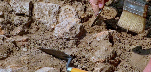 Молдавские археологи обнаружили кладбище XVI века