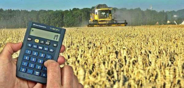 Молдавские фермеры подали рекордное количество заявок на субсидии