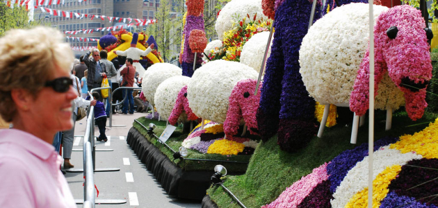 В Чимишлии отпразднуют Фестиваль цветов