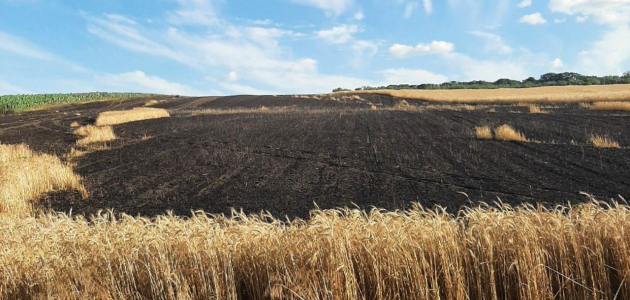 Пожар уничтожил урожай в Новоаненском районе