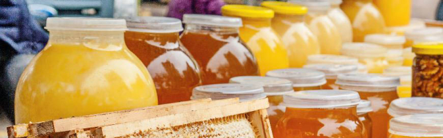 В Кишиневе пройдёт Фестиваль ягод и мёда
