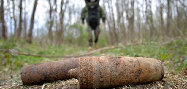 Боеприпасы времён Второй мировой войны обезвредили бельцкие сапёры