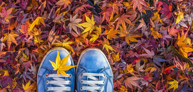 Ноябрь принесет настоящую осень в Республику Молдова