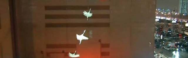 На здании «Крокус сити холла» появилась проекция «Летят журавли»