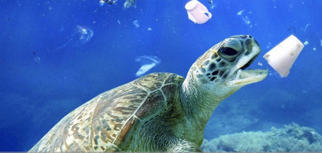 В океане появились новые пятна из пластикового мусора