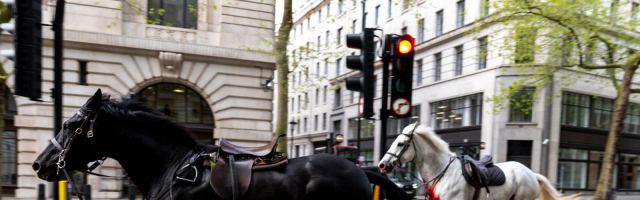 Табун лошадей пронёсся по улицам Лондона