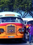 Maltese_Bus