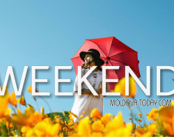 Нескучный Кишинёв: чем заняться 1 и 2 ноября