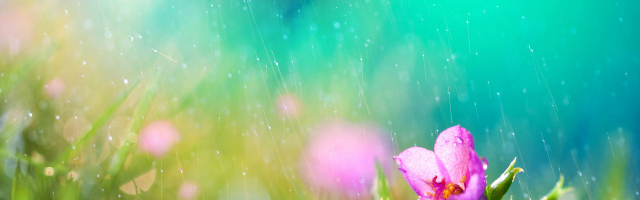 В Молдове станет прохладнее