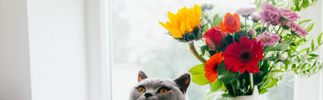 Нескучный Кишинев: куда сходить 27 и 28 января