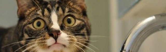 Где в среду, 5 декабря, не будет воды?