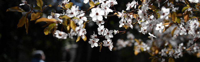 Весна в этом году полна сюрпризов