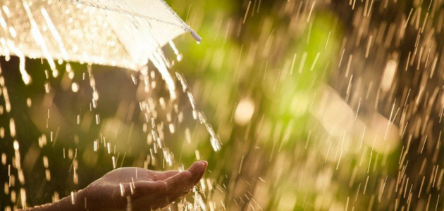На смену комфортной сухой погоде идут осадки