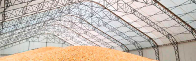 Урожай есть, но девать его некуда