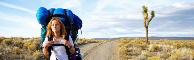 Что нужно знать, пересекая границу