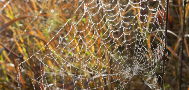 В народе отмечают Матвеев день