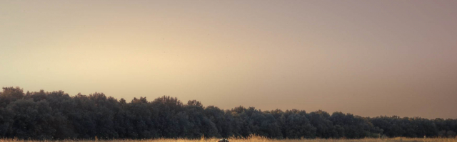 В Молдове открыт сезон охоты 2024-25