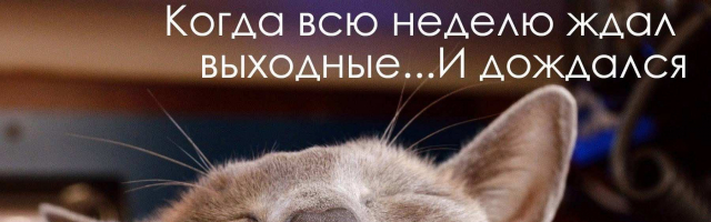 Нескучный Кишинёв: чем заняться 21 и 22 декабря