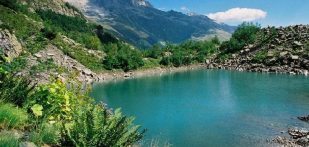 Внутренние воды Земли “пожирают кислород”