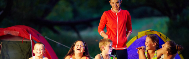 ANSA на страже