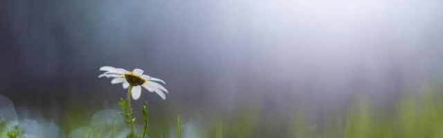 Дождливый понедельник