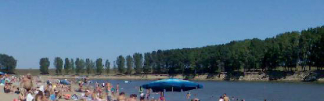 На берегу Днестра яблоку не где упасть