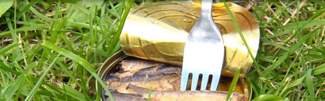 День рождения консервной банки