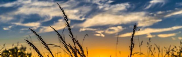 29 октября ожидается солнечная погода