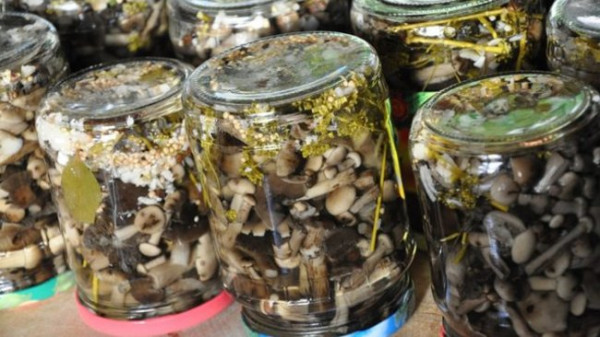 0b16505666ef3b0a0eafc040120d55cf-650x366-be8